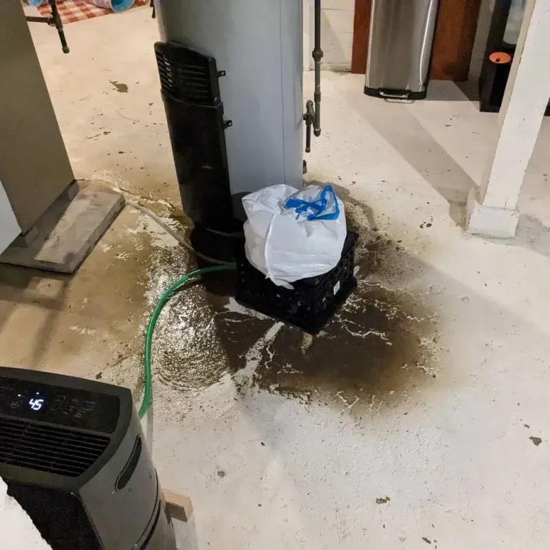 Sewage Backup Cleanup Service in Kutztown, PA